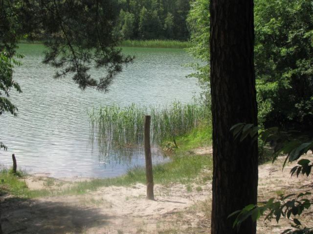 Дома для отпуска Domek w lesie Puszcza Zielonka Kiszkowo